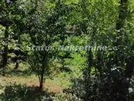 Prodaja, plac, 7m², Beočin, Srbija - image 12