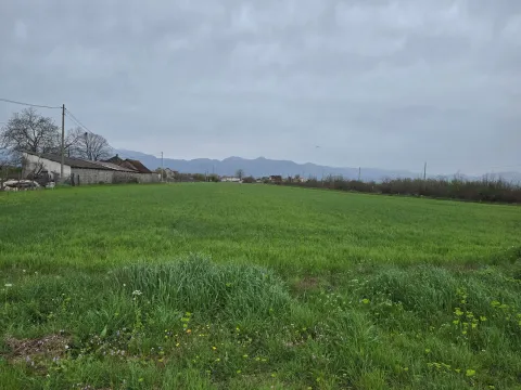 Prodaja, plac, 9100m², Mataguži, Podgorica - image 3