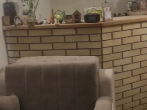 Sale, studio apartment, 23m², Petrovac, Budva - image 5