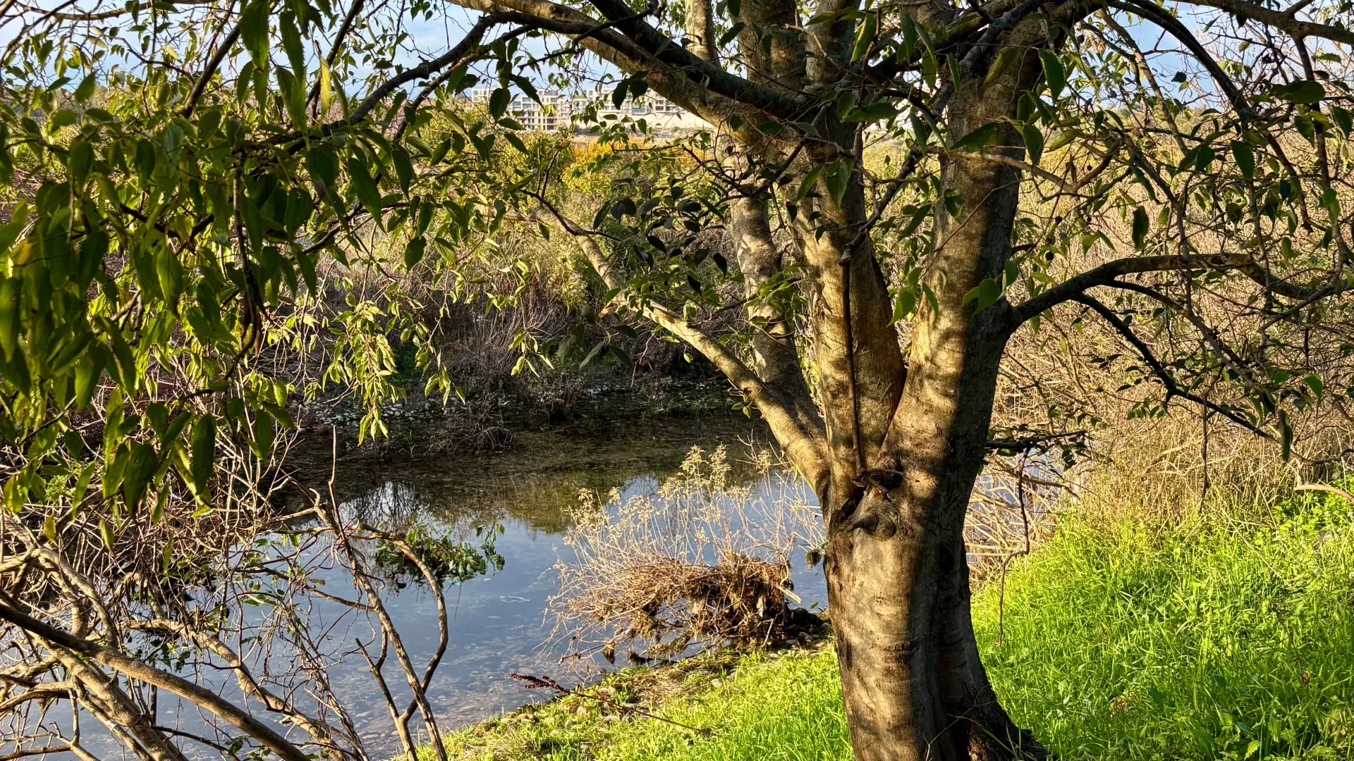 Prodaja, plac, 1500m², Donja Gorica, Podgorica
