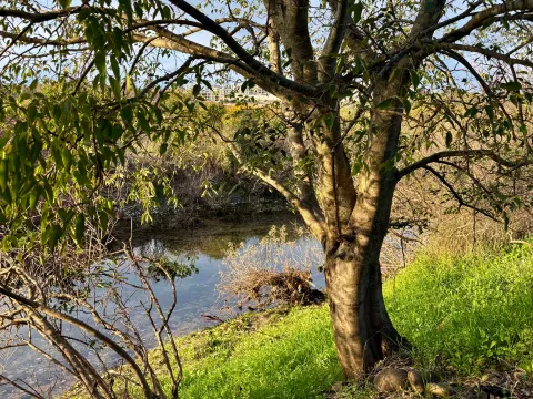 Prodaja, plac, 1500m², Donja Gorica, Podgorica - image 4