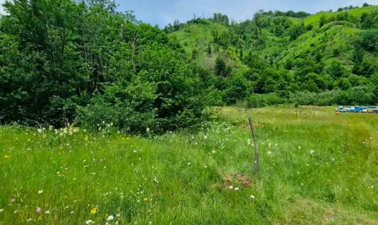 Prodaja, plac, 4300m², Veruša, Podgorica