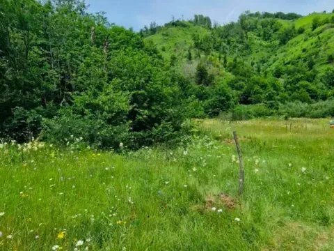 Prodaja, plac, 4300m², Veruša, Podgorica - image 2