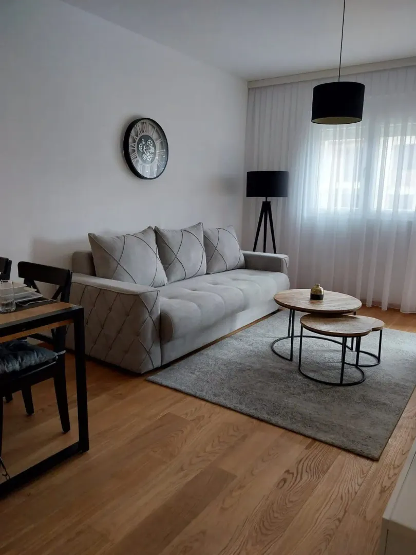 A bright living room featuring a grey sofa, rug, and wooden coffee tables.