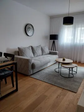 A bright living room featuring a grey sofa, rug, and wooden coffee tables. - image 16