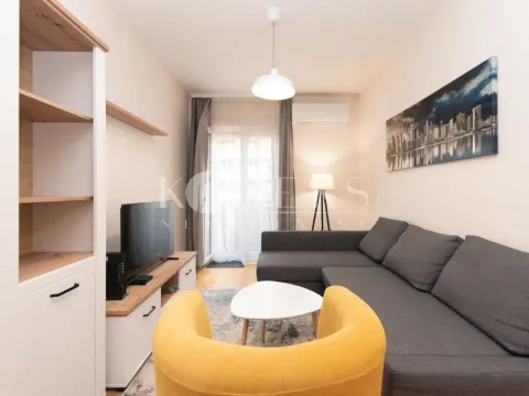 Izdavanje, jednosoban stan, 42m², Central Point, Podgorica - image 12