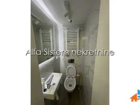 Izdavanje, dvosoban stan, 60m², Savski Venac, Beograd - image 9