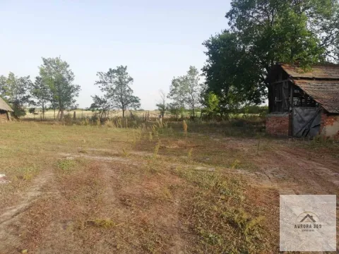 Sale, house, 251m², Neuzina, Sečanj - image 5