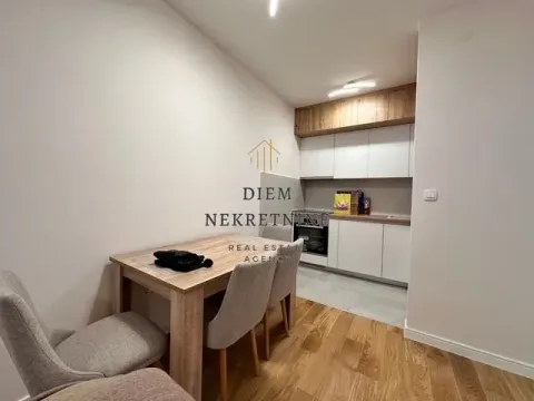 Izdavanje, jednosoban stan, 47m², Central Point, Podgorica - image 3