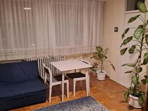 Izdavanje, jednosoban stan, 30m², Liman 3, Novi Sad Sve Podlokacije - image 3