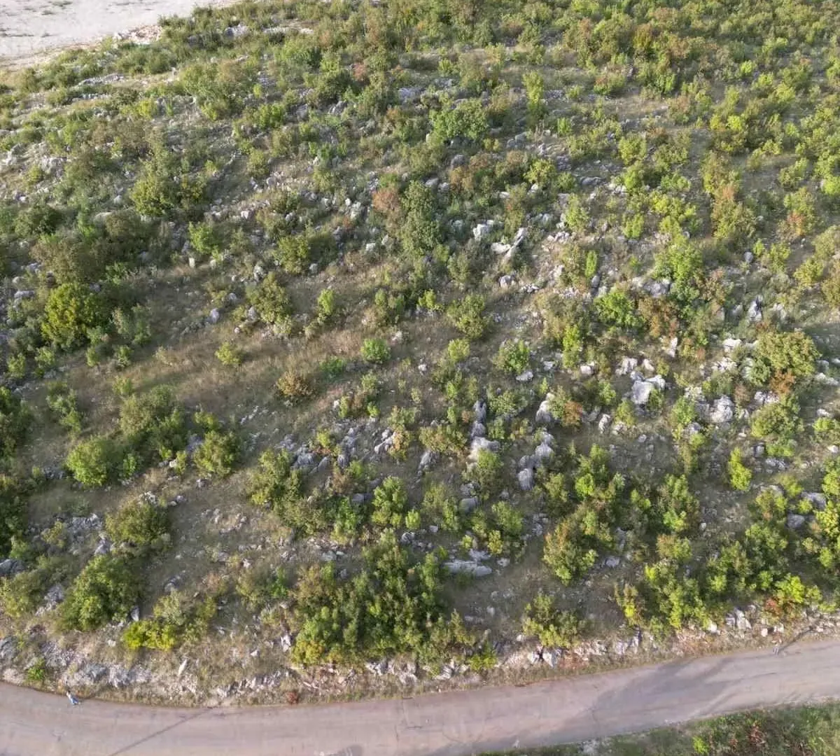 Prodaja, plac, 500m², Rogami, Podgorica