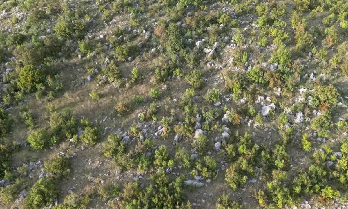 Sale, land lot, 500m², Rogami, Podgorica