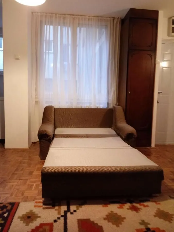 Izdavanje, dvosoban stan, 50m², Novi Beograd Blok 29, Novi Beograd Sve Podlokacije