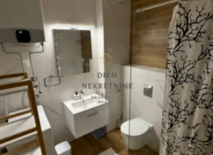 Izdavanje, jednosoban stan, 48m², Vezirov Most, Podgorica - image 6