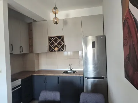 Rent, one bedroom apartment, 46m², Zabjelo, Podgorica - image 6