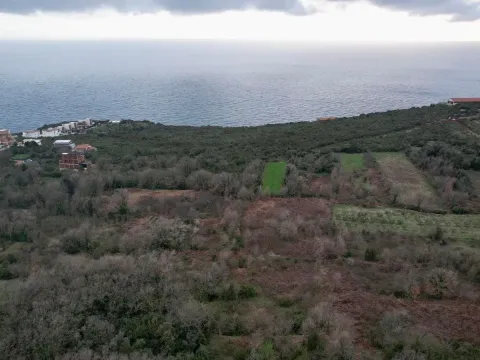 Prodaja, plac, 487m², Krimovica, Kotor - image 23