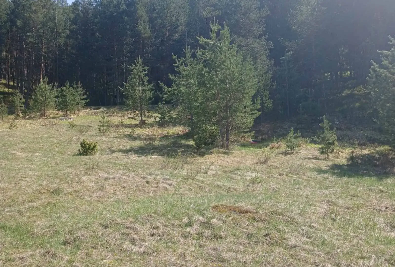 Prodaja, plac, 1280m², Borje, Žabljak
