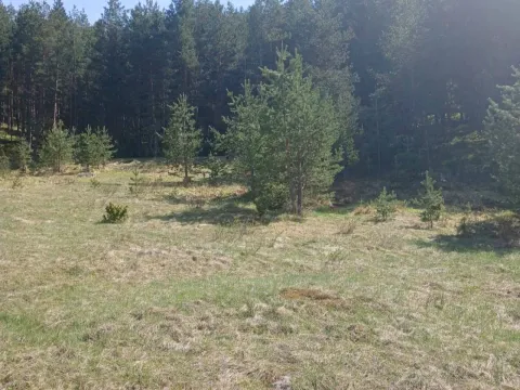Prodaja, plac, 1280m², Borje, Žabljak - image 2