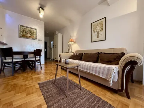 Izdavanje, jednosoban stan, 50m², Centar, Niš - image 3