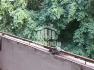 Izdavanje, jednosoban stan, 40m², Vidikovačka Padina, Beograd - image 17