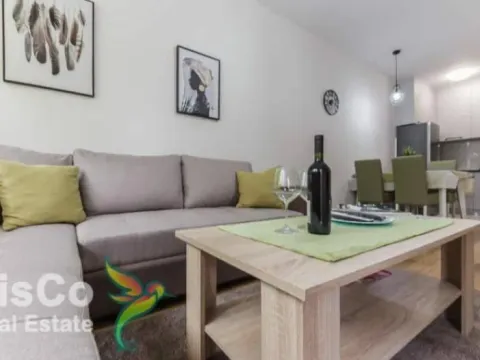 Izdavanje, jednosoban stan, 50m², Central Point, Podgorica - image 7