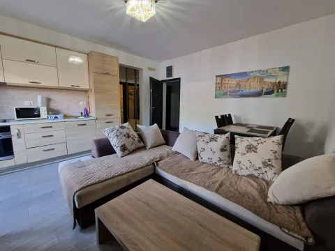 Izdavanje, jednosoban stan, 48m², Budva, Crna Gora - image 1
