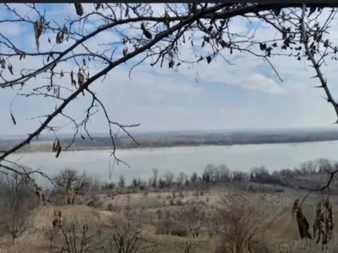 Prodaja, plac, 6400m², Plavinci, Grocka - image 9