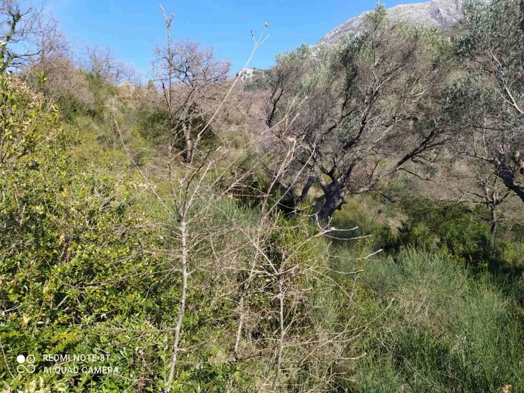 Prodaja, plac, 5000m², Bar, Crna Gora