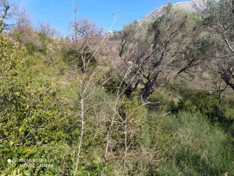 Prodaja, plac, 5000m², Bar, Crna Gora - image 7