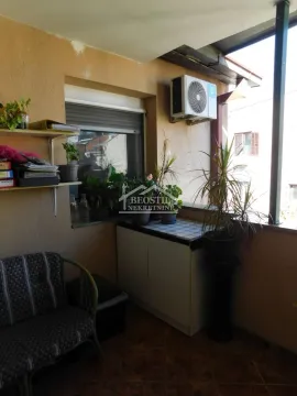 Zastakljena terasa sa garniturom za sedenje i sobnim biljkama. - image 13