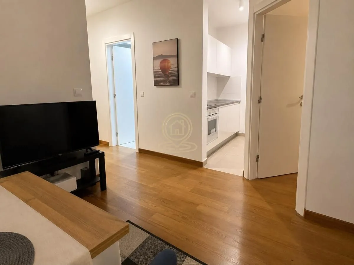 Rent, two bedroom apartment, 35m², Vračar Sve Podlokacije, Beograd
