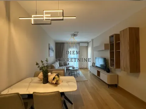 Izdavanje, jednosoban stan, 46m², Centar, Podgorica - image 15