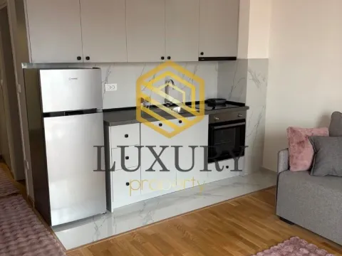 Rent, apartment, 30m², Zabjelo, Podgorica - image 3