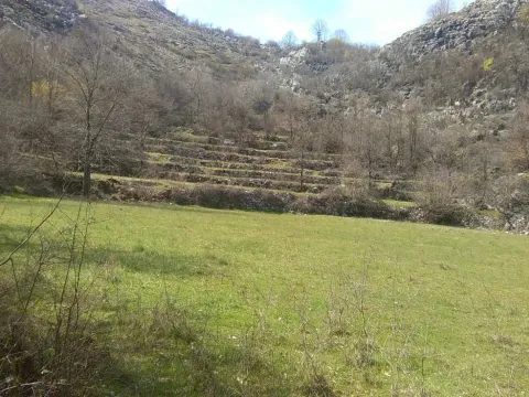 Prodaja, plac, 238441m², Cetinje, Crna Gora - image 2