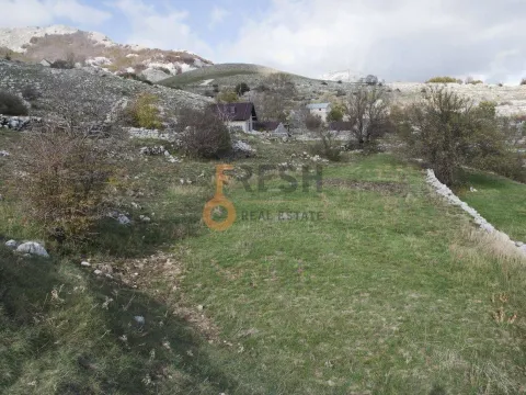 Prodaja, plac, 4307m², Cetinje, Crna Gora - image 3