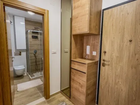 Rent, one bedroom apartment, 45m², Blok 9, Podgorica - image 6