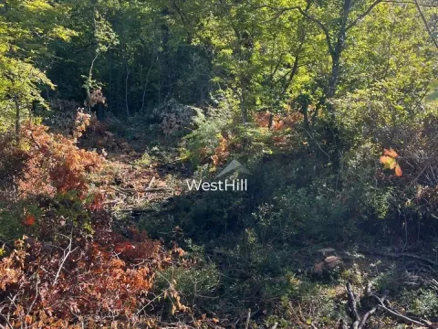 Prodaja, plac, 47894m², Danilovgrad, Crna Gora - image 2