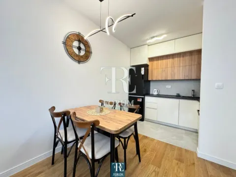 Izdavanje, jednosoban stan, 49m², Central Point, Podgorica - image 5