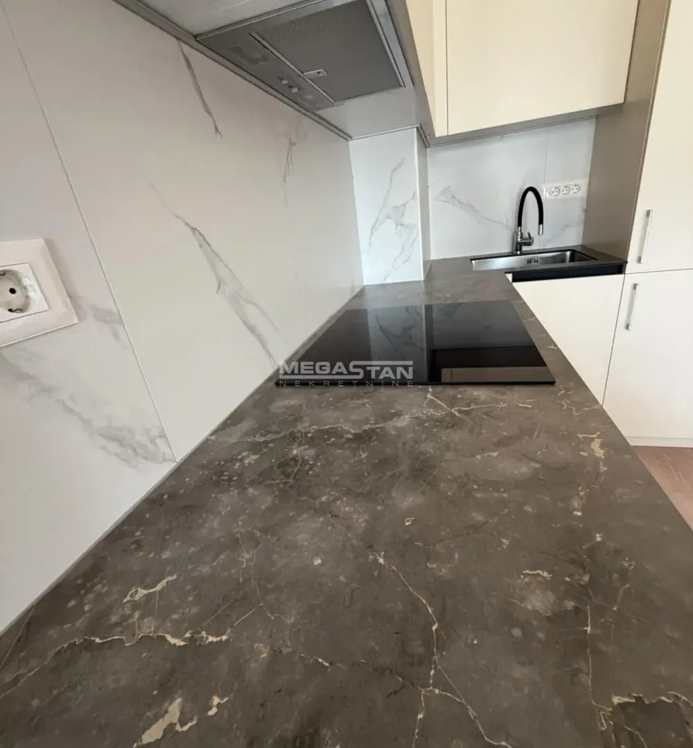 Izdavanje, dvosoban stan, 40m², Retenzija, Beograd