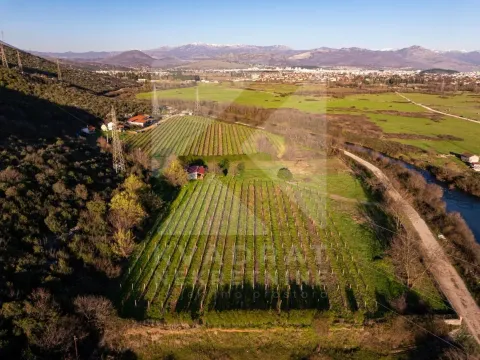 Sale, land lot, 13000m², Beri, Podgorica - image 9