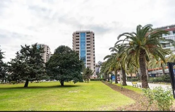 Rent, one bedroom apartment, 48m², Centar, Budva