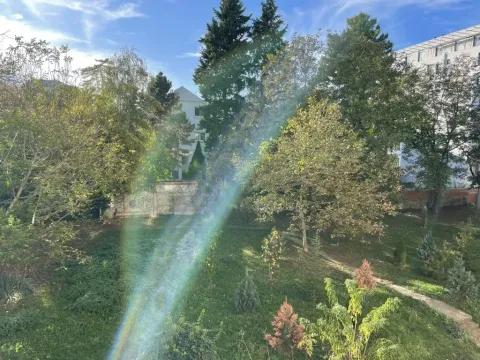 Izdavanje, jednosoban stan, 34m², Autokomanda, Voždovac Sve Podlokacije - image 8