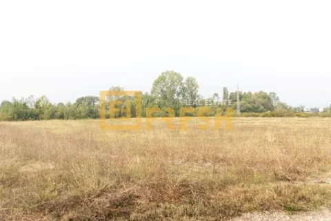 Pogled na ravno zemljište obraslo niskim rastinjem i travom. - image 2