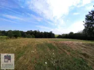 Prodaja, plac, 50m², Trlić, Ub - image 4