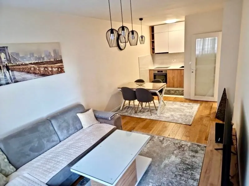 Rent, one bedroom apartment, 47m², Central Point, Podgorica
