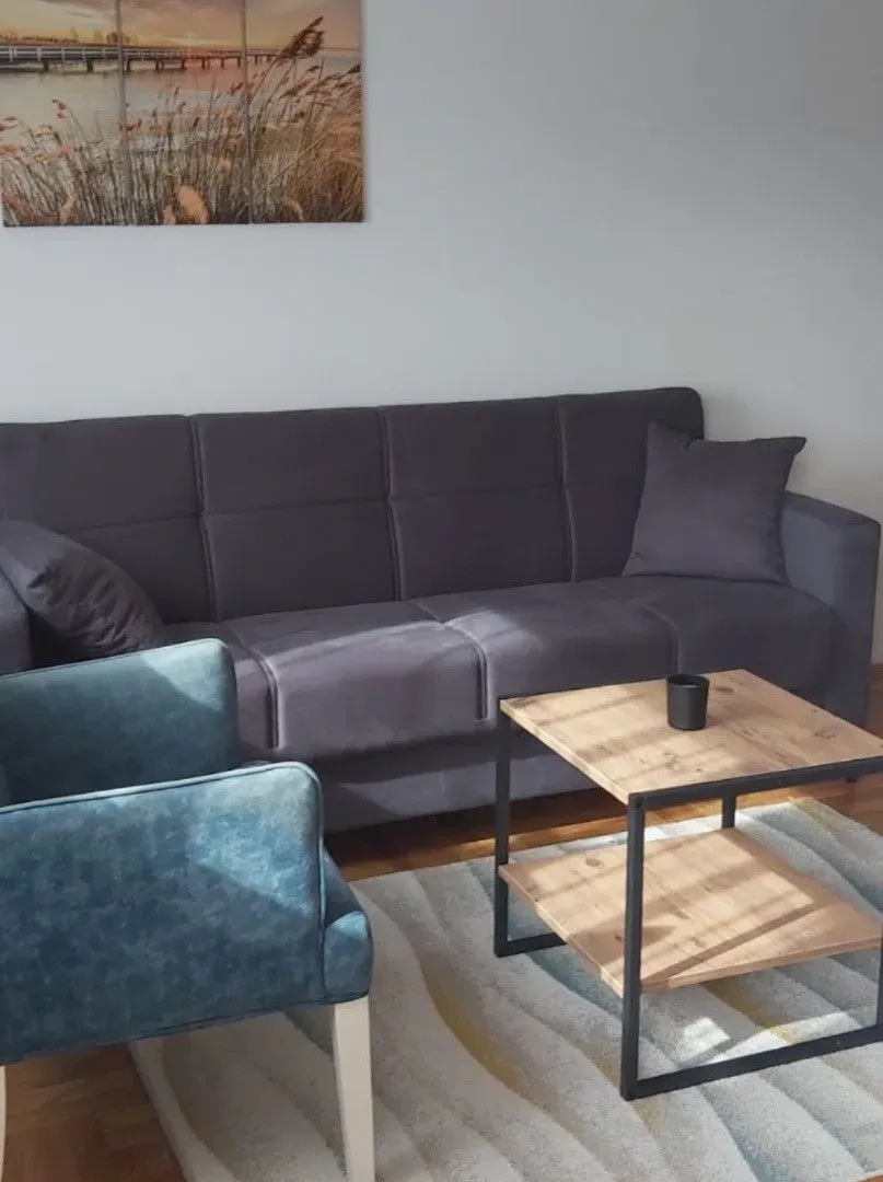 Izdavanje, jednosoban stan, 40m², Central Point, Podgorica