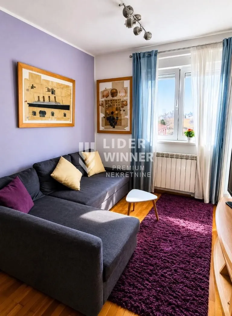 Rent, one bedroom apartment, 40m², Vračar Hram, Vračar Sve Podlokacije