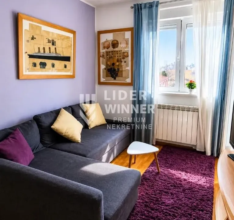 Izdavanje, jednosoban stan, 40m², Vračar Hram, Vračar Sve Podlokacije