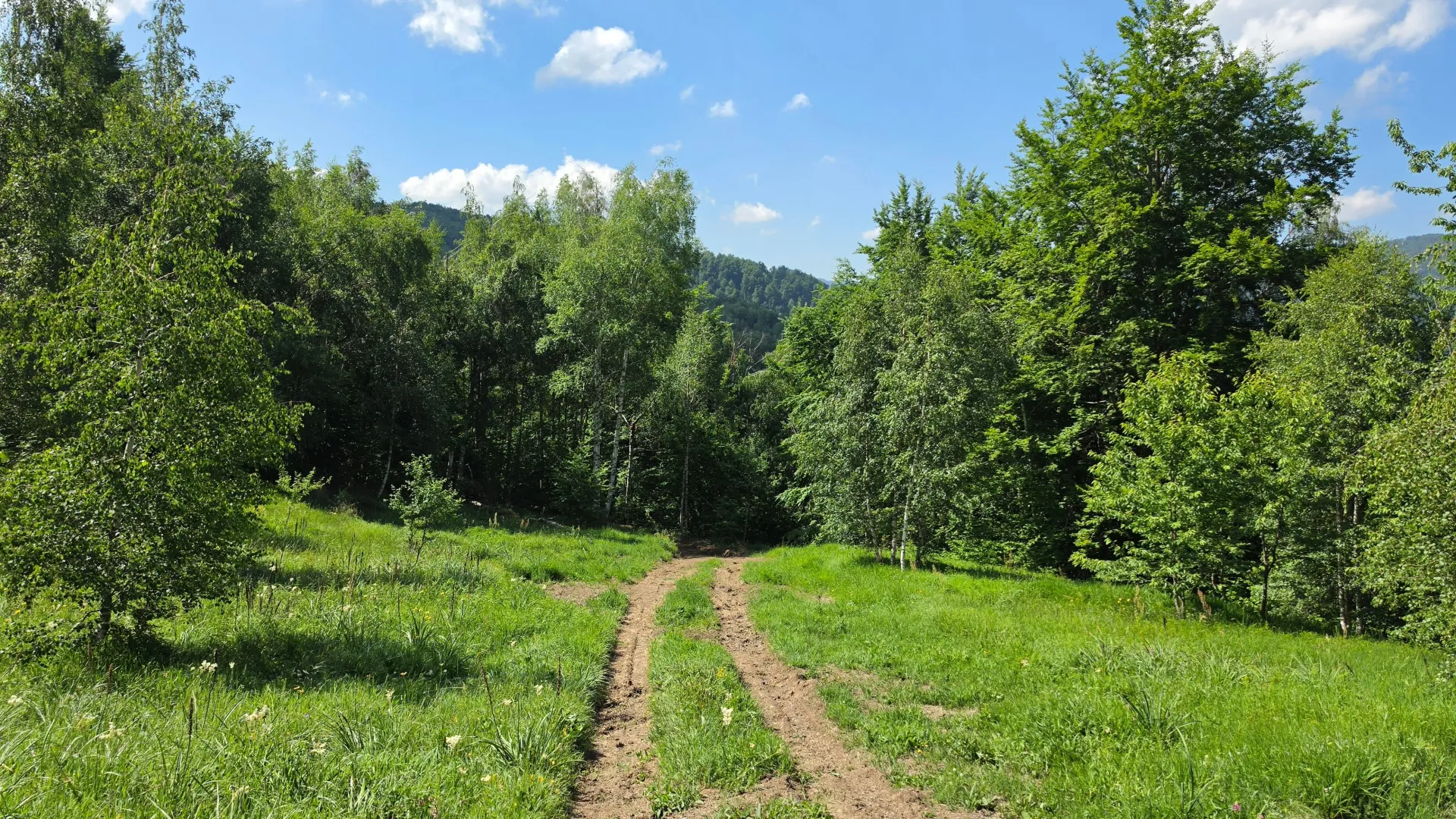 Sale, land lot, 89208m², Padež, Kolašin