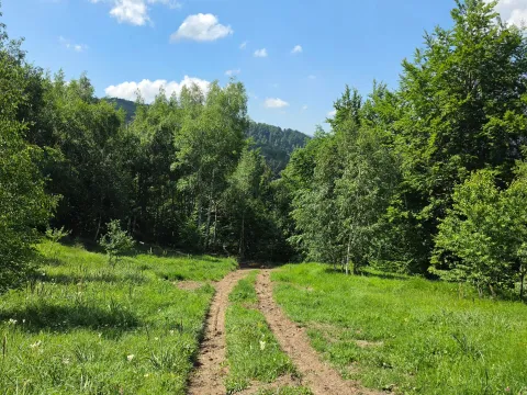 Sale, land lot, 89208m², Padež, Kolašin - image 13